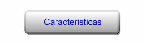 TERISTICAS CARAC